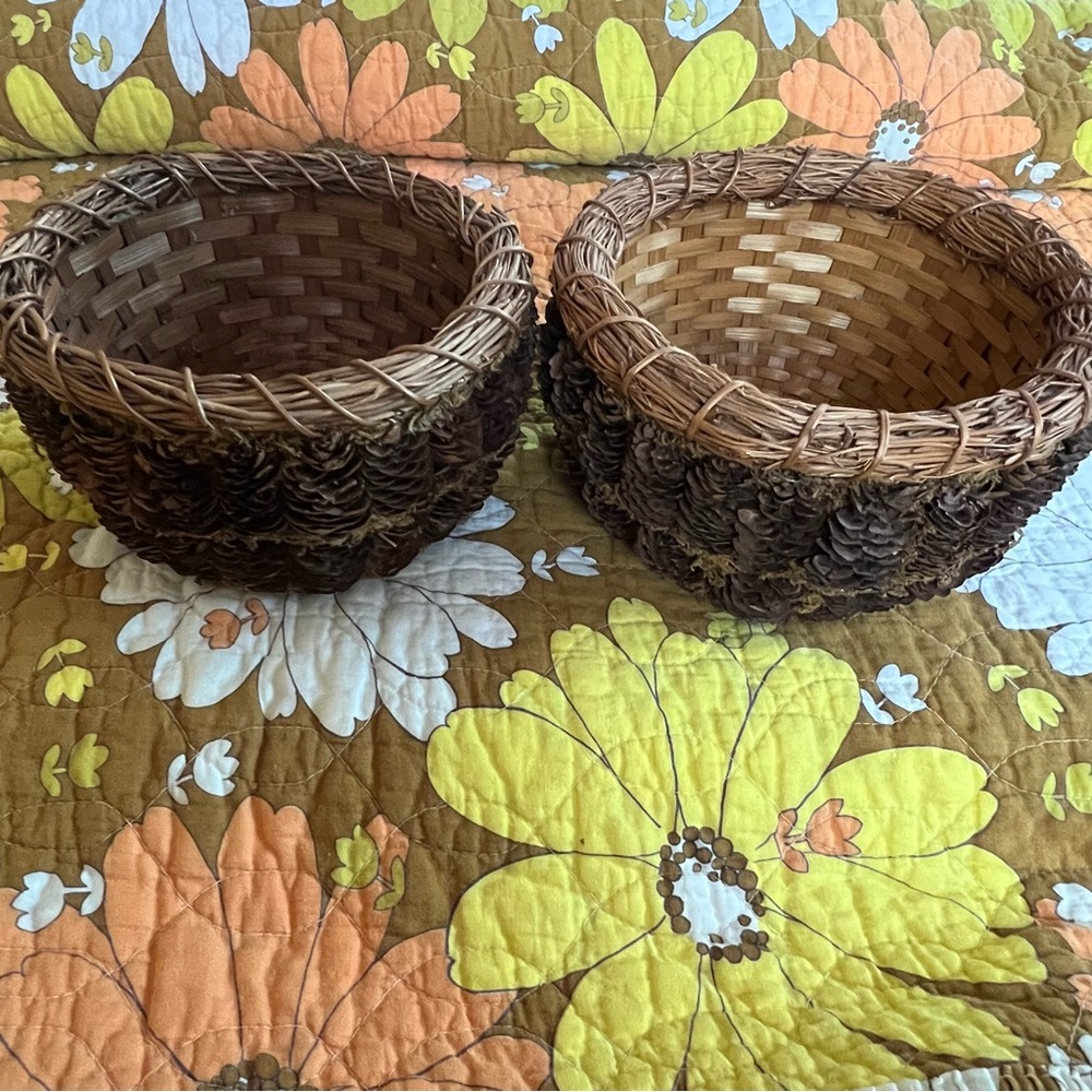 Pinecone Moss Woven Rustic Woodland Cottage Set of 2 Small Baskets